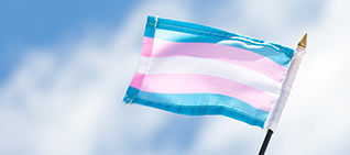 the blue, pink, and white transgender flag
