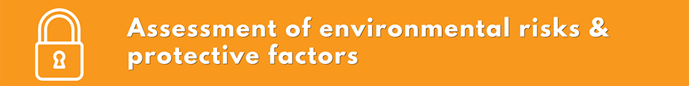 Assessment of environmental risk and protective factors