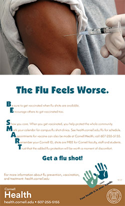 The Flu Feels Worse (poster)