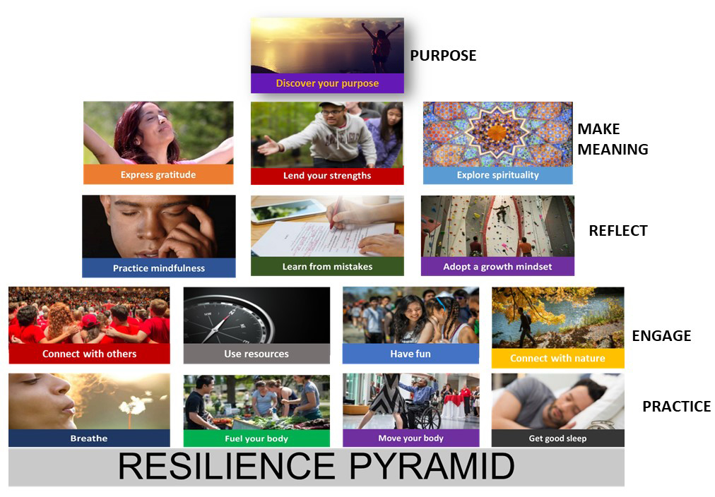 Resilience pyramid 