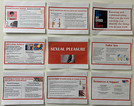 Sexual pleasure bulletin board mockup