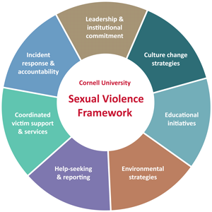Sexual Violence Framework