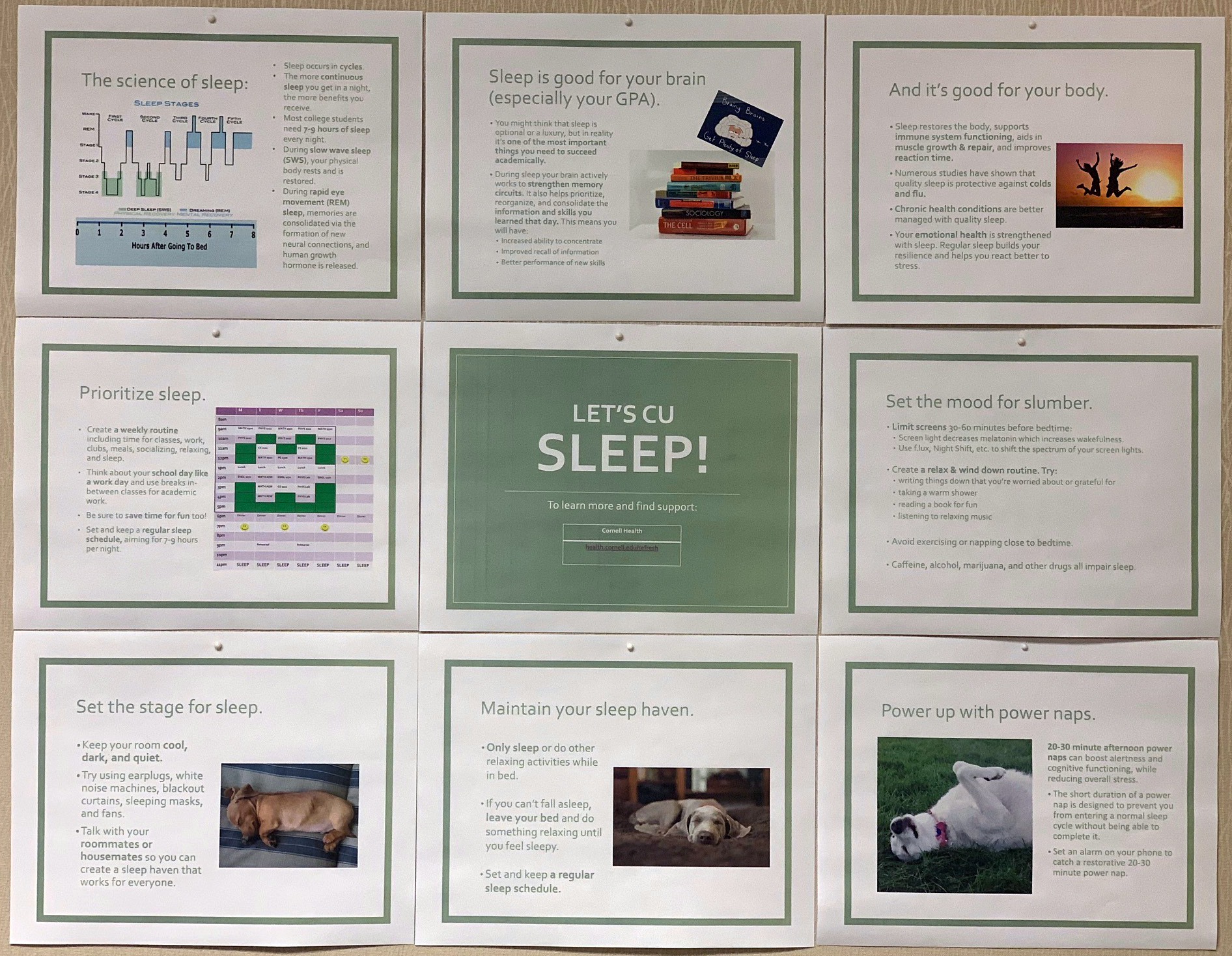 sleep bulletin board mock up