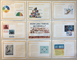 Thrive bulletin board mockup