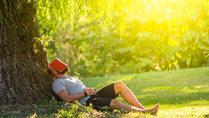 guy napping beneath a tree