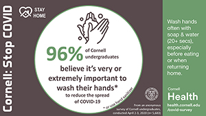 96% of Cornell undergraduates believe it's very or extremely important to wash their hands